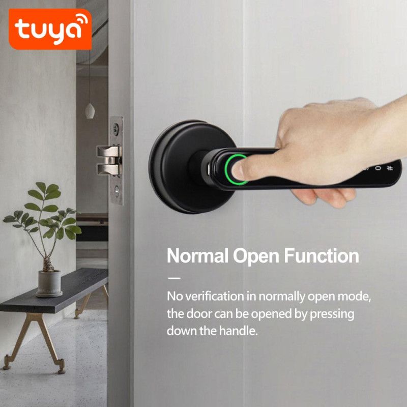 Cerradura Inteligente Bluetooth Lector de Huella Digital Apertura con Huella Clave y Lllave TUYA PST-T8