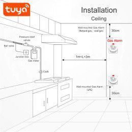 Detector de Fugas Gas Natural Sensor WiFi Tuya Inteligente PST-RQ400A