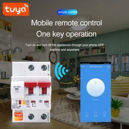 Interruptor Llave Termica  Termomagnetico Wifi 32A Google Alexa PST-MCB-2P