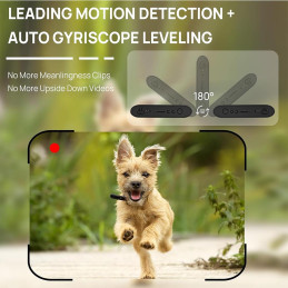 Batería Portátil Camara Espía de 5000 mAh, 4K Infrarrojo Wifi Video Fotos SW10