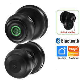 Cerradura Inteligente Bluetooth de Perilla PST-Q1 App, Huella y Llave