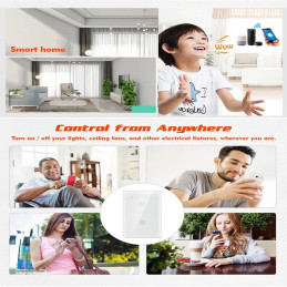 Interruptor Táctil Blanco Wifi Inteligente 2 Canales + Capacitor Compatible Alexa y Google Home Tuya-Wt-U2 +APP